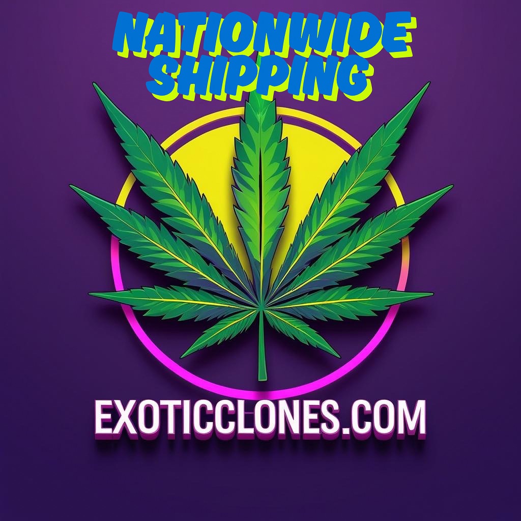 Exotic Clones premium cannabis clones