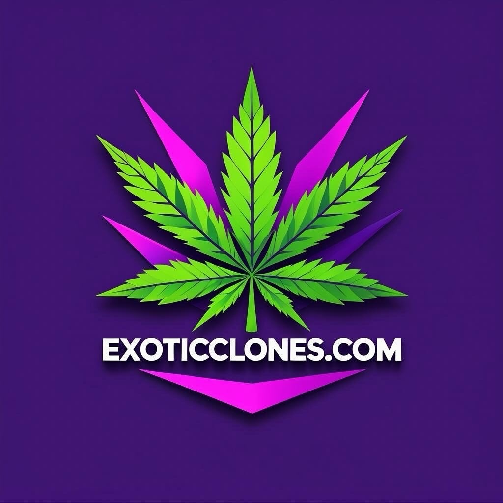 Exotic Clones premium cannabis clones - contact our experts
