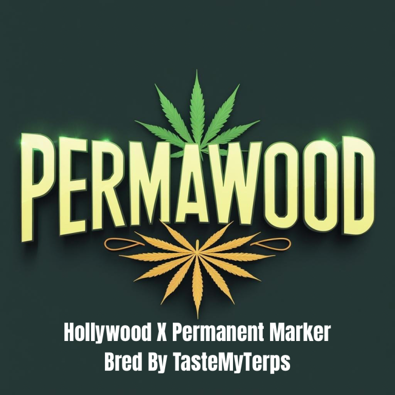 PermaWood (Hollywood x Permanent Marker)