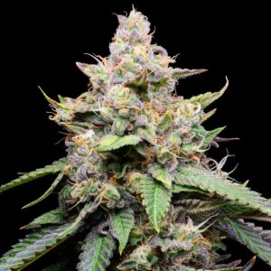 Banana Cream Cake
