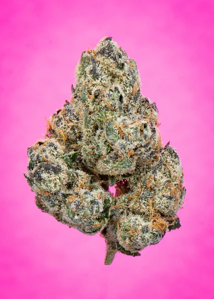 Cherry Popperz