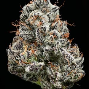 Black Cherry Gushers Clone