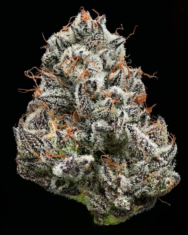 Black Cherry Gushers Clone